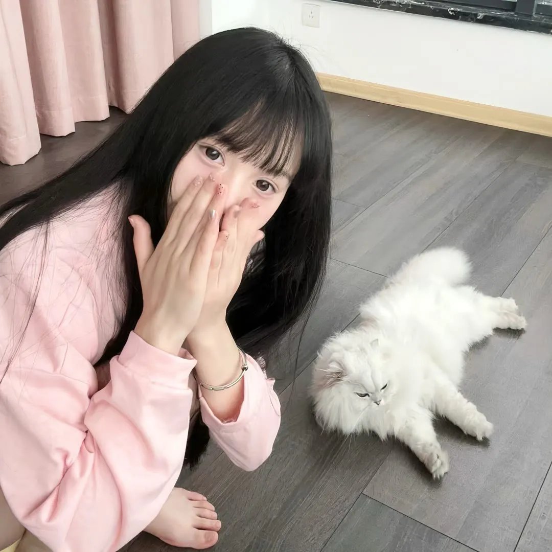 凤阳小子朱元璋 在线观看