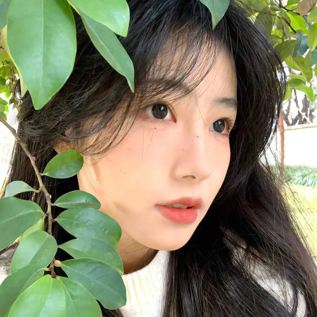 爱上查美乐 在线观看
