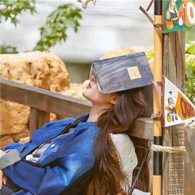 满目皆琳琅 在线观看